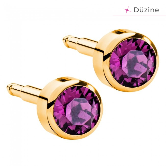  - Kulak Delme Küpesi Gold Amethyst Birthstone 12'li Set